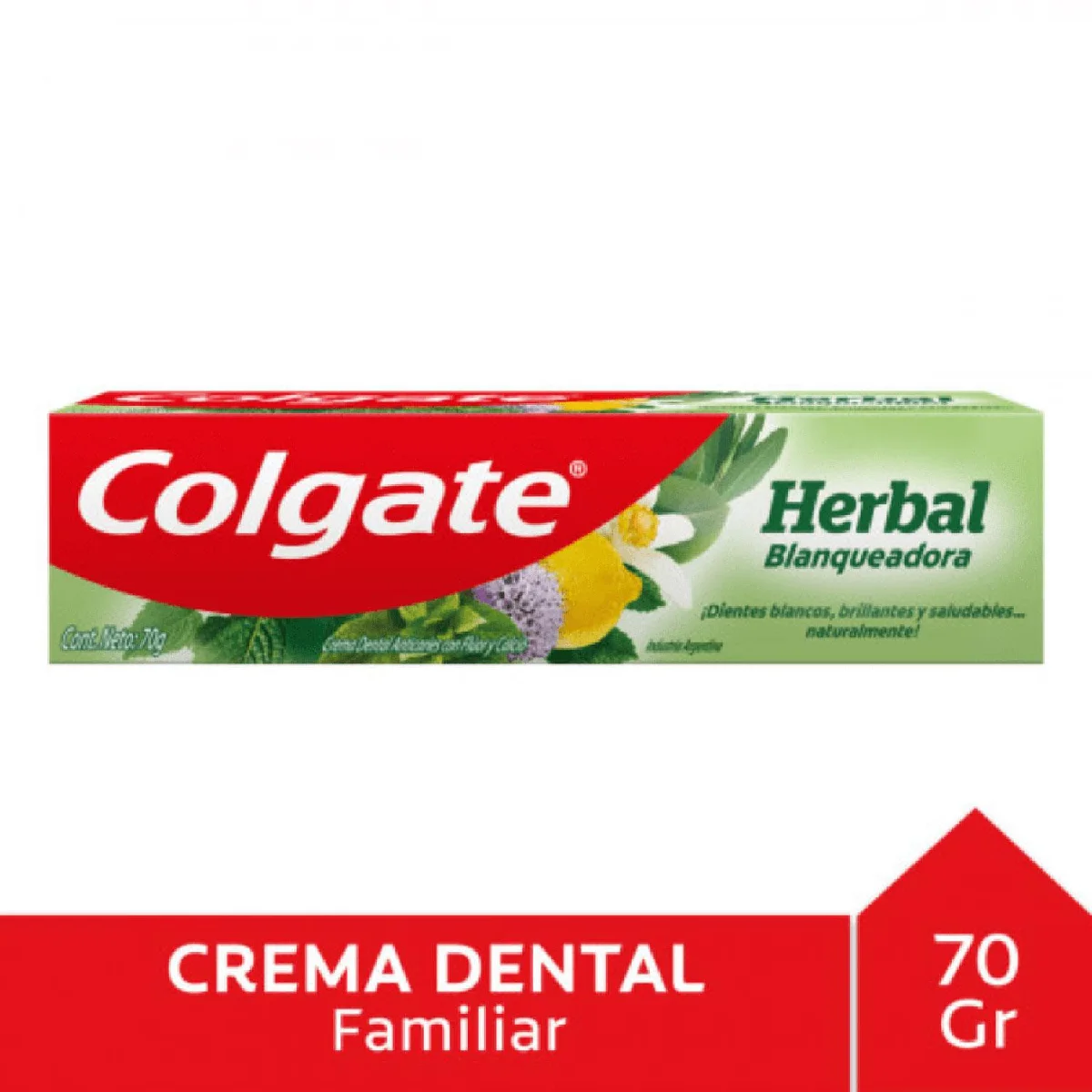 COLGATE HERBAL 70G