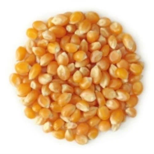 MAIZ PISINGALLO LA GRANJA 500G