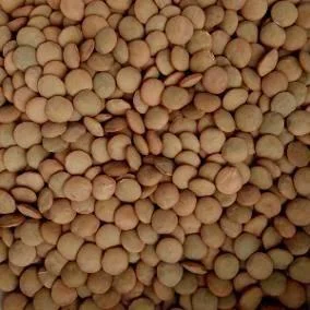 LENTEJONES LA GRANJA 500G