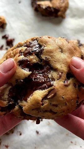 GALLETAS OBVIO CHIPS CHOCO 400G