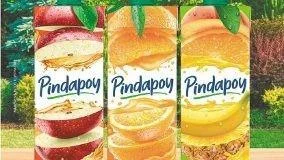 PINDAPOY DURAZNO 200ML