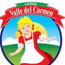 YOGUR VALLE DEL CARMEN CERALES 165 G