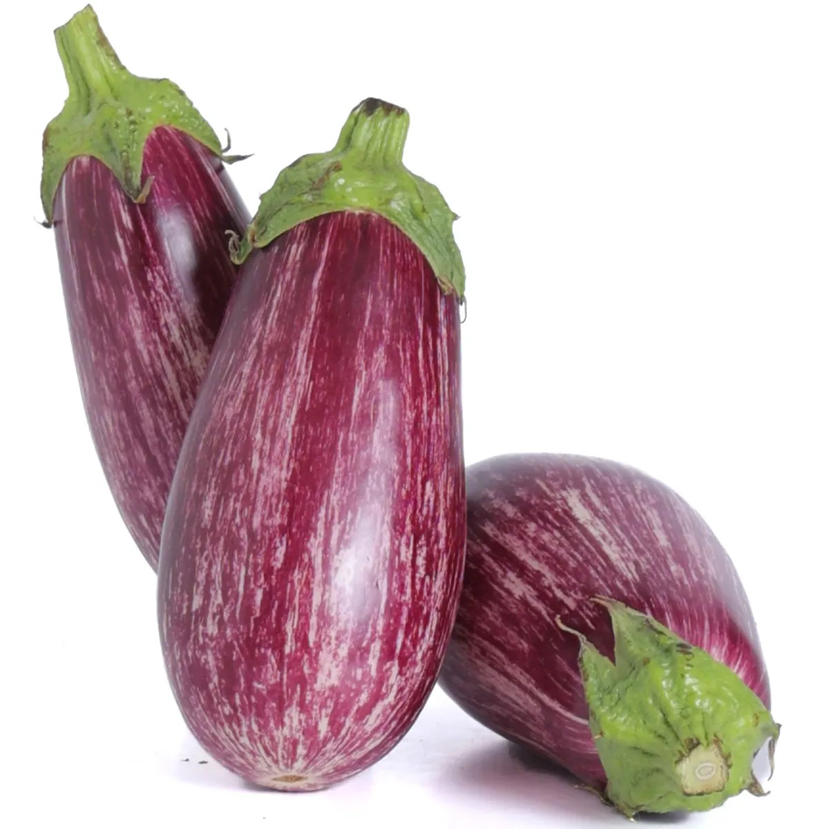 BERENJENA