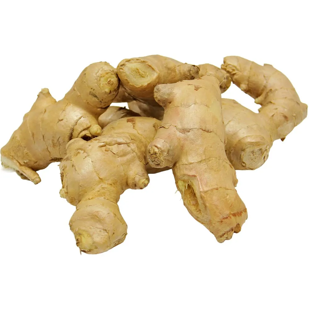 JENGIBRE