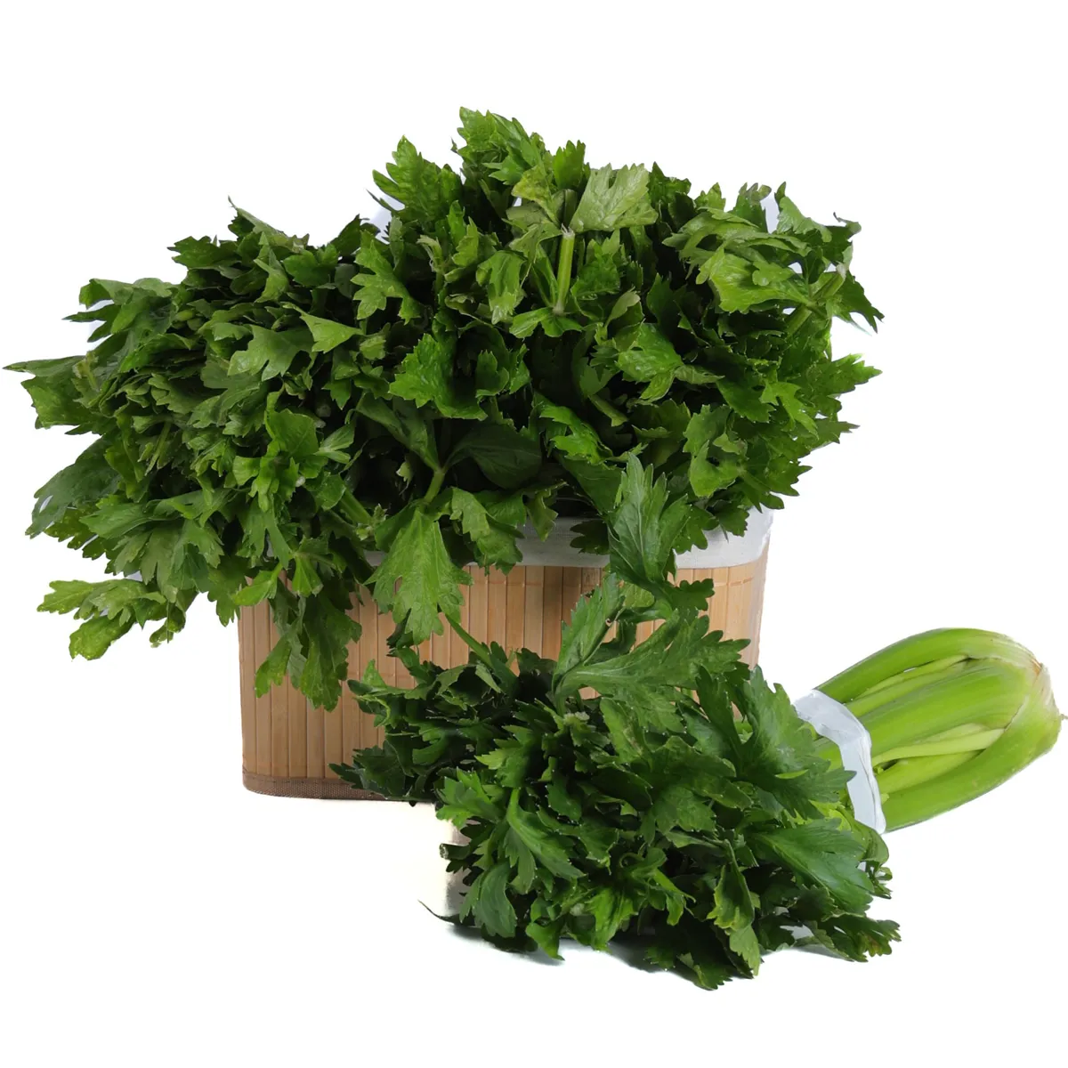APIO X PLANTA 