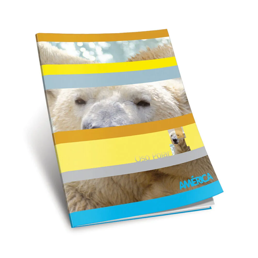 CUADERNO TRIUNFANTE  X 48 HOJAS 