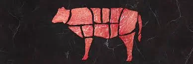 VACA DE PRIMERA  BA