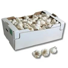 AJO CAJA GRANDE 
