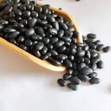 POROTO NEGRO