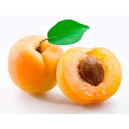 DAMASCO