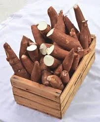 MANDIOCA X CAJA 