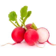 RABANITO 
