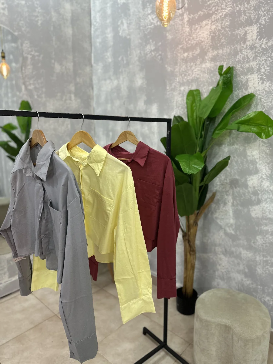 Camisa cropp lisa 