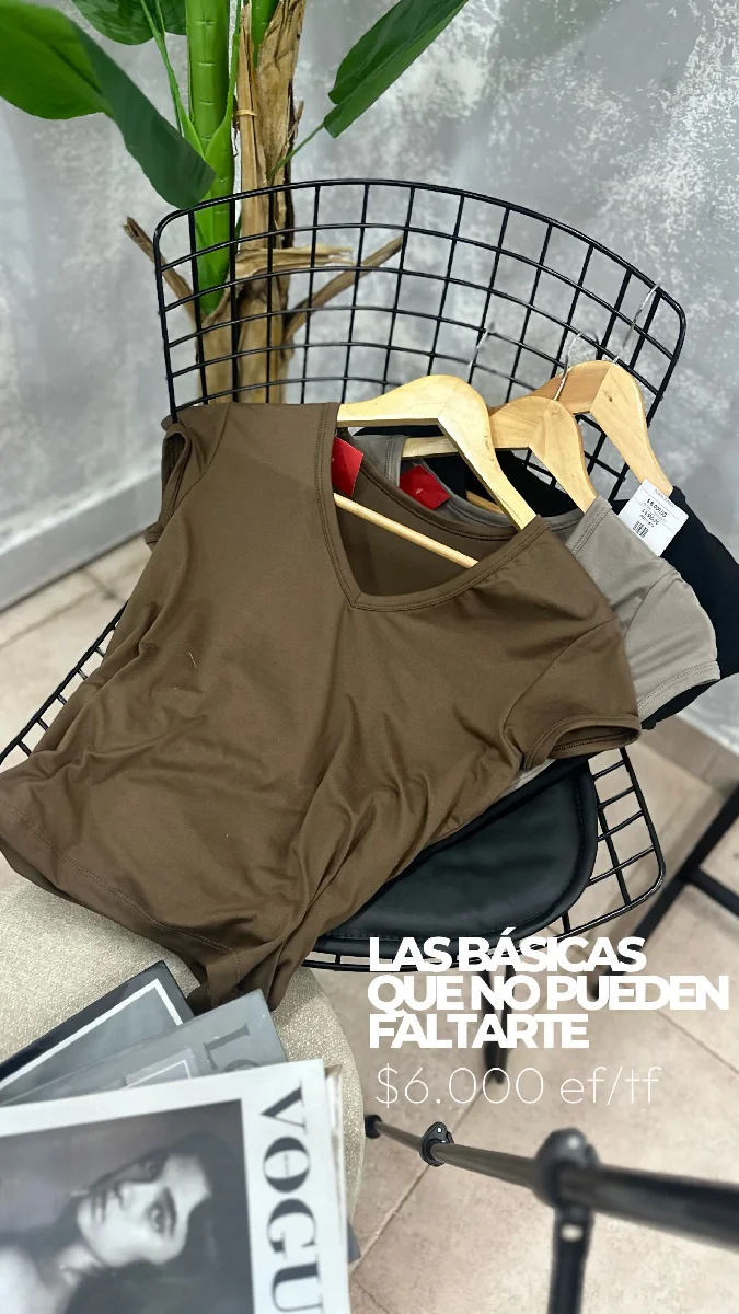 Remeritas basicas